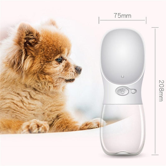 Simple Pet Hydration Solution for Walks and Travel
