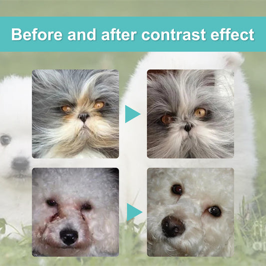 External Tear Stain Remover for Cats and Dogs