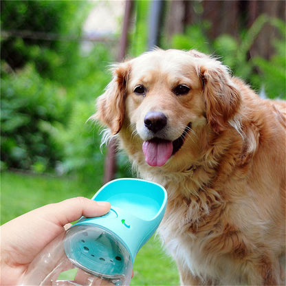 Simple Pet Hydration Solution for Walks and Travel