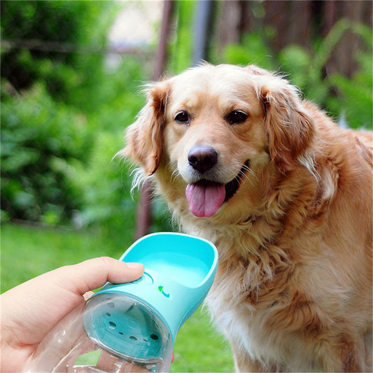 Simple Pet Hydration Solution for Walks and Travel