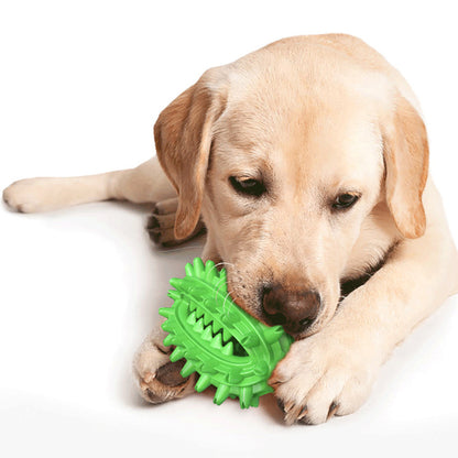Durable Dog Toothbrush Toy for Playtime and Dental Care