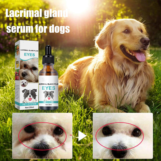External Tear Stain Remover for Cats and Dogs