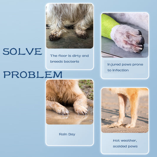 Cute Waterproof Boots for Happy Pets on Rainy Days