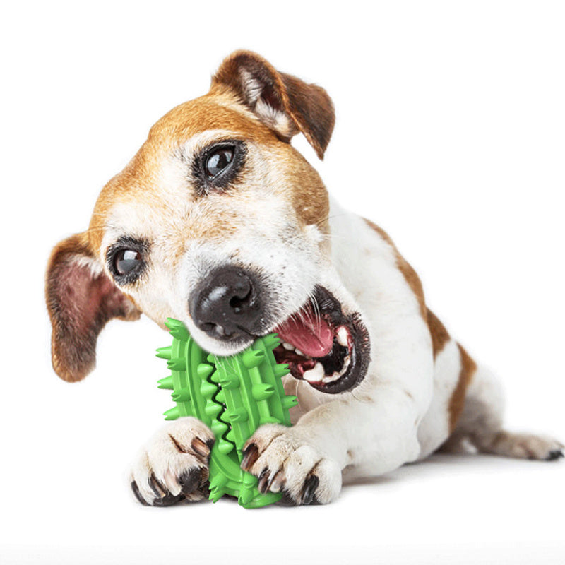Durable Dog Toothbrush Toy for Playtime and Dental Care