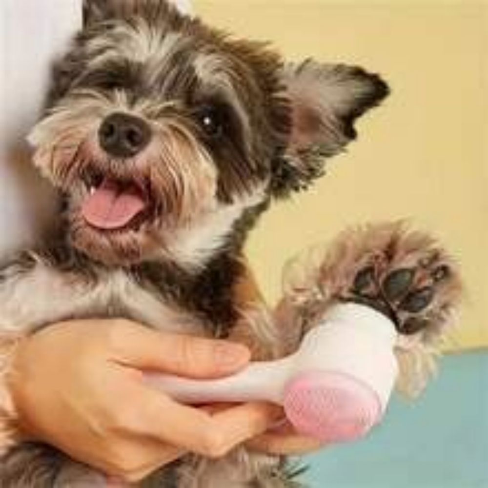 Soft Pet Grooming Brush for Shiny Fur and Relaxed Paws
