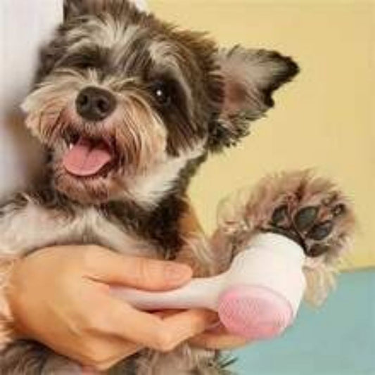 Soft Pet Grooming Brush for Shiny Fur and Relaxed Paws