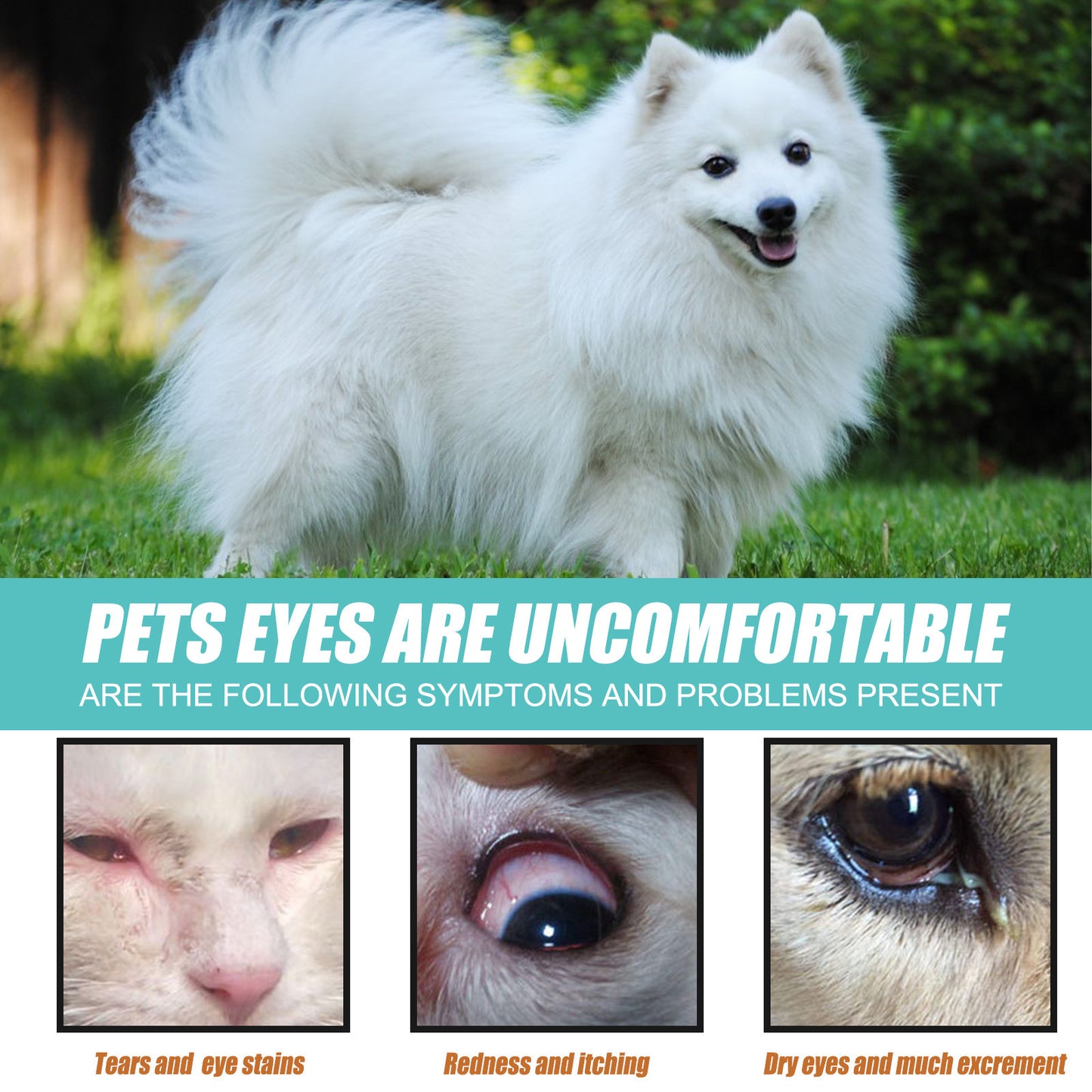 External Tear Stain Remover for Cats and Dogs